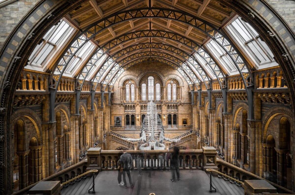 1-Bed Apartment, Close To Kensington Olympia With Free Wi-Fi & Netflix 런던 외부 사진