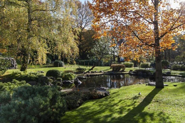 1-Bed Apartment, Close To Kensington Olympia With Free Wi-Fi & Netflix 런던 외부 사진